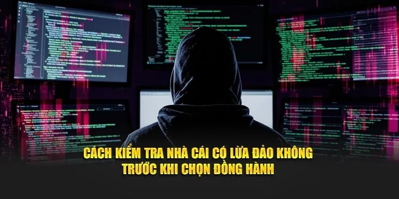 VX88 lừa đảo có phải sự thật không?